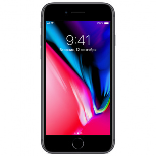 iPhone 8 256Gb Space Gray