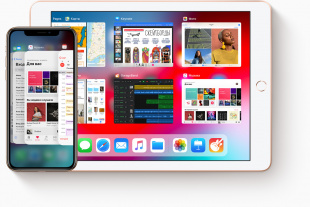 iPad Mini (2019) 256Gb / Wi-Fi / Gold