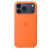 Силиконовый чехол MagSafe для iPhone 17 Pro Max (Orange)