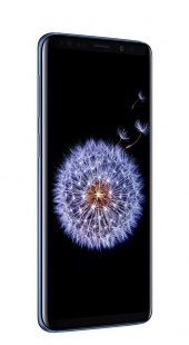 Смартфон Samsung Galaxy S9+, 256Gb, Коралловый синий
