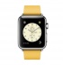 Apple Watch 38 мм, нержавеющая сталь, ремешок цвета «весенняя мимоза» с современной пряжкой