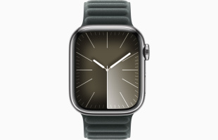 Apple Watch Series 9 // 41мм GPS+Cellular // Корпус из нержавеющей стали серебристого цвета, браслет цвета "вечнозеленый", размер M/L