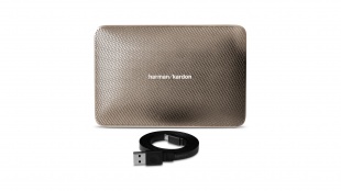 Harman Kardon Esquire 2 Champagne