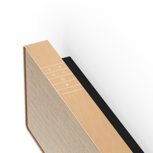 Bang & Olufsen саундбар Beosound Stage (Gold Tone)