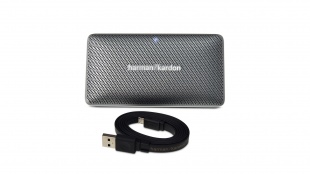 Harman Kardon Esquire Mini Grey
