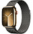 Купить Apple Watch Series 9 // 41мм GPS+Cellular // Корпус из нержавеющей стали золотого цвета, миланский сетчатый браслет графитового цвета