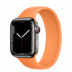 Apple Watch Series 7 // 41мм GPS + Cellular // Корпус из нержавеющей стали графитового цвета, монобраслет цвета «весенняя мимоза»
