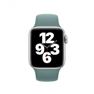 40мм Спортивный ремешок цвета «Дикий кактус» для Apple Watch