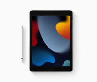 iPad 10,2" (2021) 64gb / Wi-Fi / Silver