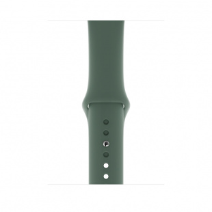 Apple Watch Series 5 // 40мм GPS + Cellular // Корпус из нержавеющей стали цвета «серый космос», спортивный ремешок цвета «сосновый лес»