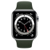 Apple Watch Series 6 // 44мм GPS + Cellular // Корпус из нержавеющей стали серебристого цвета, спортивный ремешок цвета «Кипрский зелёный»