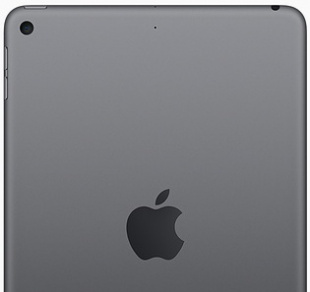 iPad Mini (2019) 256Gb / Wi-Fi / Space Gray