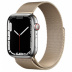 Apple Watch Series 7 // 45мм GPS + Cellular // Корпус из нержавеющей стали серебристого цвета, миланский сетчатый браслет золотого цвета