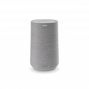 Harman Kardon Citation 100 Grey