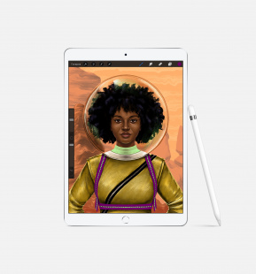 iPad Air (2019) 256Gb / Wi-Fi / Silver