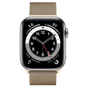 Apple Watch Series 6 // 44мм GPS + Cellular // Корпус из нержавеющей стали серебристого цвета, миланский сетчатый браслет золотого цвета