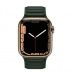 Apple Watch Series 7 // 41мм GPS + Cellular // Корпус из нержавеющей стали золотого цвета, кожаный браслет цвета «зелёная секвойя», размер ремешка S/M