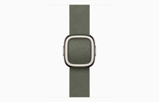 Apple Watch Series 11 // 42мм GPS+Cellular // Корпус из титана сланцевого цвета, ремешок цвета "серый шалфей" с современной пряжкой (Modern Buckle)