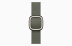 Apple Watch Series 11 // 42мм GPS+Cellular // Корпус из титана сланцевого цвета, ремешок цвета "серый шалфей" с современной пряжкой (Modern Buckle)