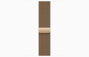 Apple Watch Series 10 // 42мм GPS+Cellular // Корпус из титана золотого цвета, миланский сетчатый браслет золотого цвета