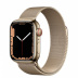 Apple Watch Series 7 // 41мм GPS + Cellular // Корпус из нержавеющей стали золотого цвета, миланский сетчатый браслет золотого цвета