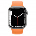 Apple Watch Series 7 // 41мм GPS + Cellular // Корпус из нержавеющей стали серебристого цвета, спортивный ремешок цвета «весенняя мимоза»