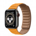 Apple Watch Series 6 // 40мм GPS + Cellular // Корпус из титана цвета «черный космос», кожаный браслет цвета «Золотой апельсин», размер ремешка M/L
