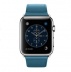 Apple Watch 42 мм, нержавеющая сталь, ремешок цвета «океанская синева» с классической пряжкой