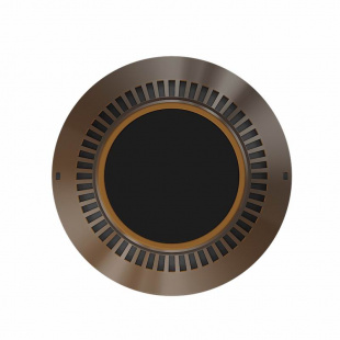 Акустическая система Bang & Olufsen Beosound 2 с Google Ассистентом / Бронзовый (Bronze Tone)