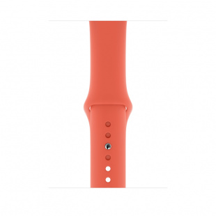 Apple Watch Series 5 // 44мм GPS + Cellular // Корпус из нержавеющей стали цвета «серый космос», спортивный ремешок цвета «спелый клементин»
