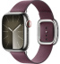 Apple Watch Series 9 // 41мм GPS+Cellular // Корпус из нержавеющей стали серебристого цвета, ремешок цвета "шелковица" с современной пряжкой (Modern Buckle), размер ремешка М