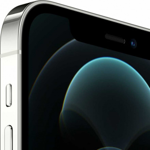 iPhone 12 Pro Max (Dual SIM) 128Gb Silver/Серебристый