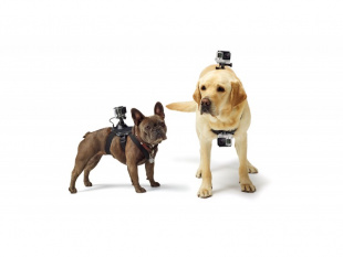 Крепление-упряжка для собак GoPro (Fetch Dog Harness)