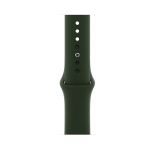 Apple Watch Series 6 // 40мм GPS + Cellular // Корпус из нержавеющей стали серебристого цвета, спортивный ремешок цвета «Кипрский зелёный»