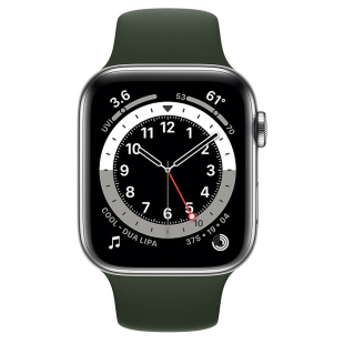 Apple Watch Series 6 // 40мм GPS + Cellular // Корпус из нержавеющей стали серебристого цвета, спортивный ремешок цвета «Кипрский зелёный»