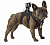 Купить Крепление-упряжка для собак GoPro (Fetch Dog Harness)