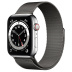Apple Watch Series 6 // 40мм GPS + Cellular // Корпус из нержавеющей стали серебристого цвета, миланский сетчатый браслет графитового цвета Apple Watch Series 6 // 40мм GPS + Cellular // Корпус из нержавеющей стали серебристого цвета, миланский сетчатый браслет графитового цвета