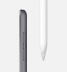 iPad Mini (2019) 256Gb / Wi-Fi / Space Gray