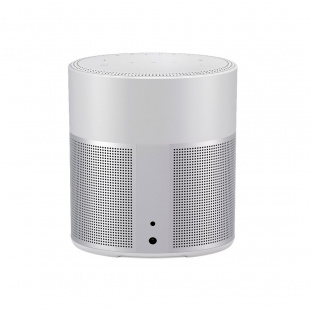 Bose Акустическая система Home Speaker 300 (Lux silver)