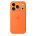 Силиконовый чехол MagSafe для iPhone 17 Pro (Orange)