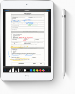 iPad Mini (2019) 256Gb / Wi-Fi / Silver