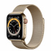 Apple Watch Series 6 // 40мм GPS + Cellular // Корпус из нержавеющей стали золотого цвета, миланский сетчатый браслет золотого цвета