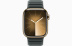 Apple Watch Series 9 // 41мм GPS+Cellular // Корпус из нержавеющей стали золотого цвета, браслет цвета "вечнозеленый", размер S/M
