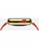Apple Watch Edition 38мм, 18-каратное жёлтое золото, ярко-красный ремешок с современной пряжкой