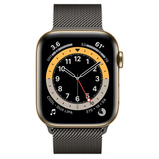Apple Watch Series 6 // 40мм GPS + Cellular // Корпус из нержавеющей стали золотого цвета, миланский сетчатый браслет графитового цвета