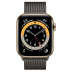 Apple Watch Series 6 // 40мм GPS + Cellular // Корпус из нержавеющей стали золотого цвета, миланский сетчатый браслет графитового цвета