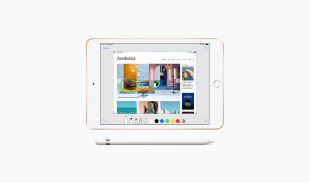 iPad Mini (2019) 64Gb / Wi-Fi / Gold