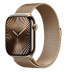 Apple Watch Series 10 // 42мм GPS+Cellular // Корпус из титана золотого цвета, миланский сетчатый браслет золотого цвета