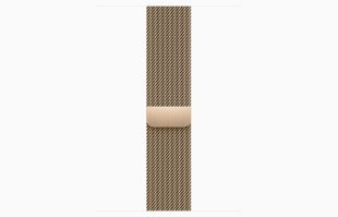 Apple Watch Series 9 // 45мм GPS+Cellular // Корпус из нержавеющей стали золотого цвета, миланский сетчатый браслет золотого цвета