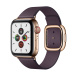 Apple Watch Series 5 // 40мм GPS + Cellular // Корпус из нержавеющей стали золотого цвета, ремешок цвета «спелый баклажан» с современной пряжкой (Modern Buckle), размер ремешка S